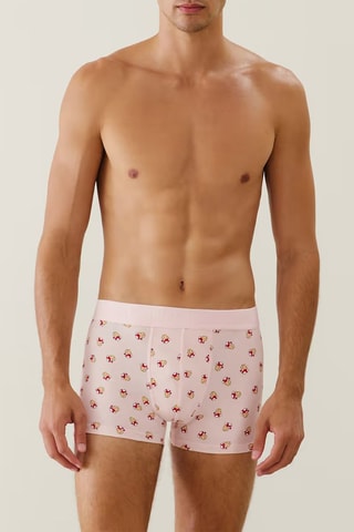Boxer Repeatiz mimichampiz - Rose