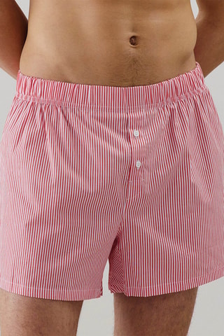 Boxer Brinsiz - Rosso