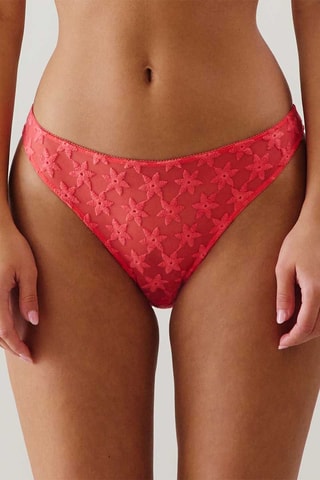 Slip Tortueiz - Corallo