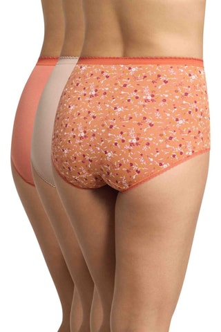 3 culottes taille haute Cotton - Orange