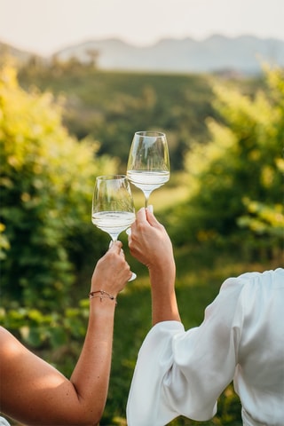 2 verres à vin Esperienze - 45 cl