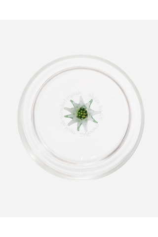 Verre à eau Teca Winter Game - 35 cl