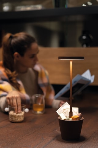 Lampe à poser LED Poldina Reverso - Marron - 2,2 W