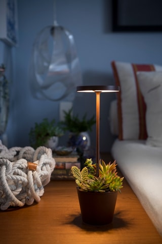 Lampe à poser LED Poldina Reverso - Marron - 2,2 W