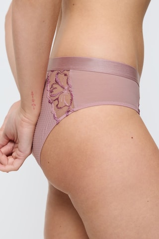 Slip Wild Roze