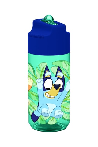Cantimplora isotérmica Bluey - 43 cl