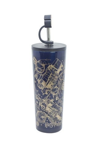Cantimplora de acero inoxidable Harry Potter - 77 cl