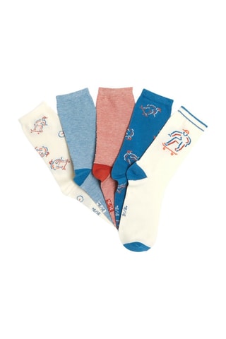 5 pares de calcetines - Azul eléctrico y crudo - Okaïdi
