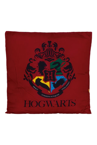 Coussin Herry Potter - 40 x 10 x 40 cm - Multicolore