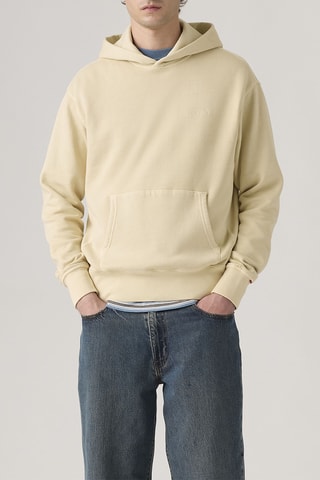 Sweat à capuche The Authentic - Gris