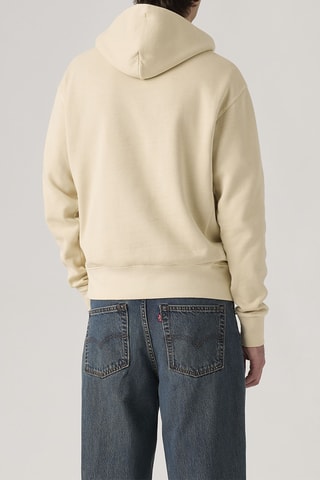 Sweat à capuche The Authentic - Gris