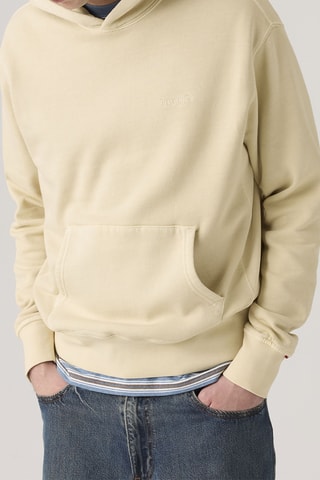 Sweat à capuche The Authentic - Gris