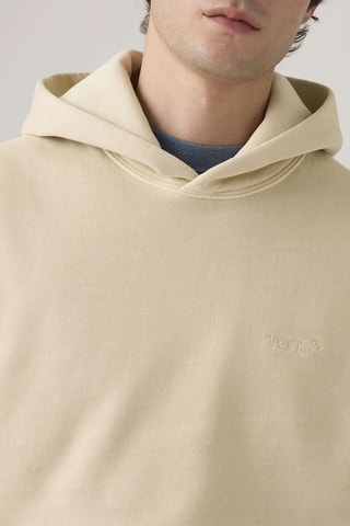 Sweat à capuche The Authentic - Gris