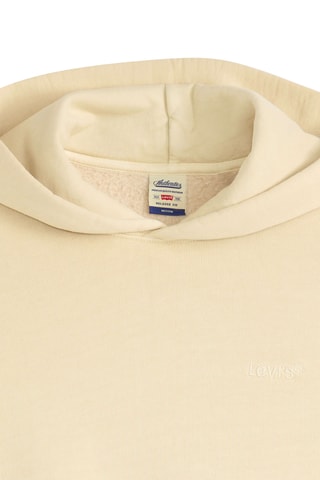 Sweat à capuche The Authentic - Gris