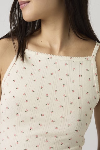 Top Dry Goods - Rose