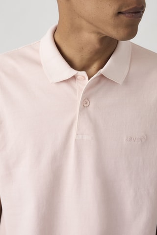 Polo Authentic - Rose