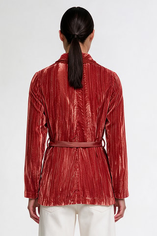 Veste en velours - Rouge brique