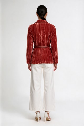 Veste en velours - Rouge brique