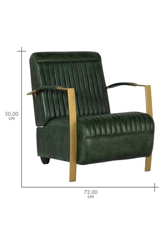 Fauteuil en cuir - Vert et doré