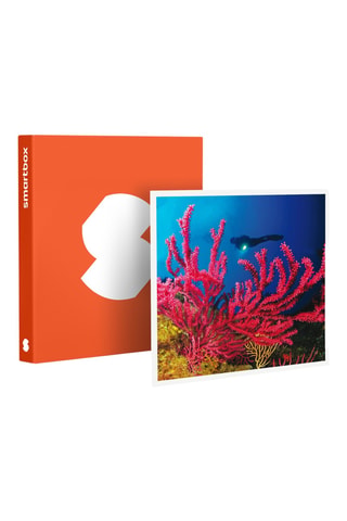 Coffret Baptême de plongée passionnant de 3h en duo au large de Fréjus - Smartbox