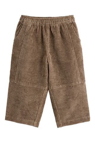 Pantaloni in velluto - Marrone