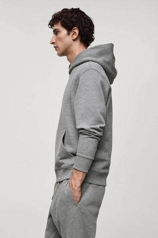 Sweater à capuche coton - Gris