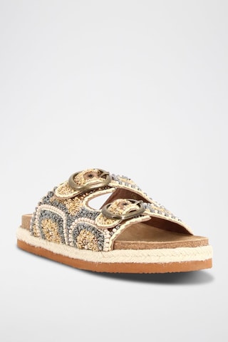 Mules Ida - Camel