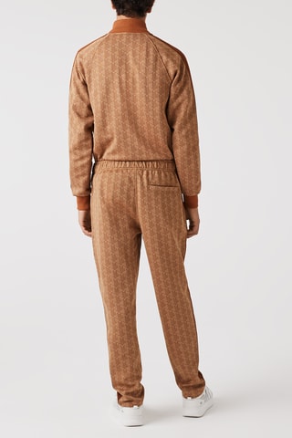 Pantalon - Marron