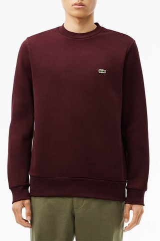 Sweat classic fit - Bordeaux