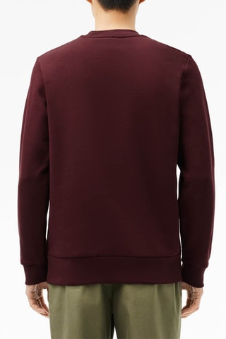 Sweat classic fit - Bordeaux
