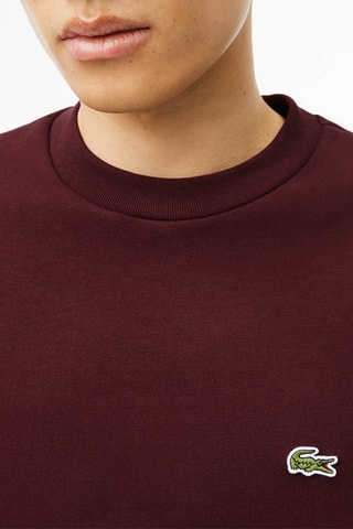 Sweat classic fit - Bordeaux