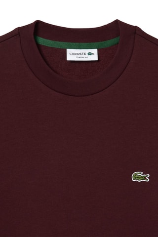 Sweat classic fit - Bordeaux