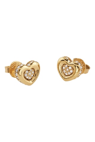 Puces L.O.V.E - Zircons
