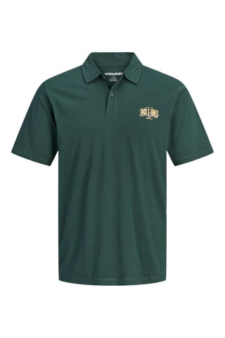 Polo - Vert foncé