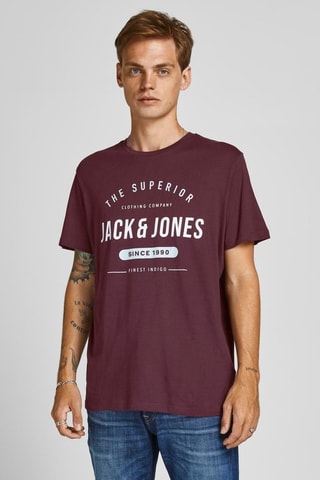 5 t-shirts - Blanc et gris