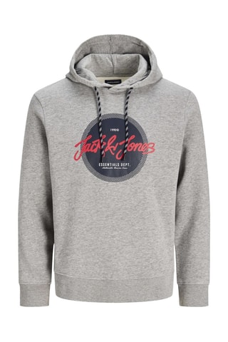 Sweat à capuche - Gris clair