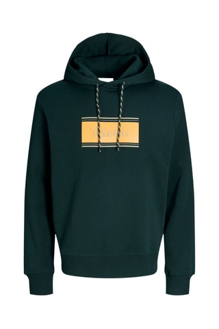 Sweat à capuche - Vert foncé