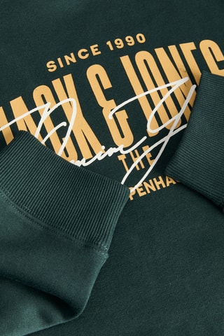 Sweat à capuche - Vert foncé