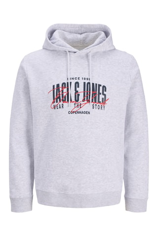 Sweat à capuche - Gris clair chiné