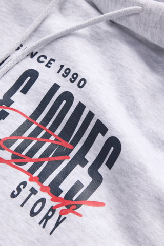 Sweat à capuche - Gris clair chiné