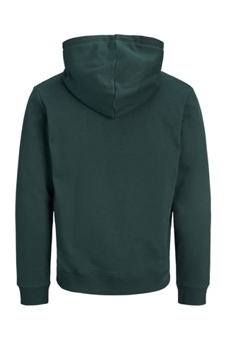 Sweat à capuche - Vert foncé