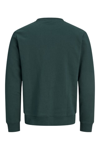 Sweat - Vert foncé