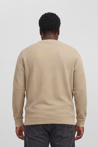 Pull en coton biologique - Beige
