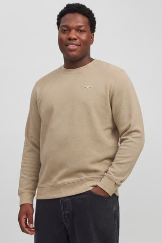 Pull en coton biologique - Beige