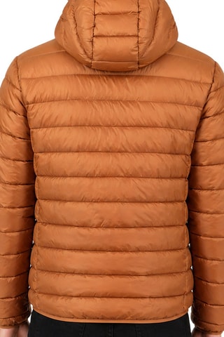Blouson à capuche Aipteroral - Camel