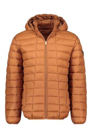 Blouson à capuche Aipteroral - Camel