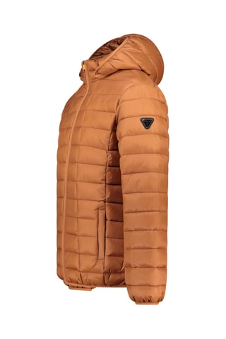 Blouson à capuche Aipteroral - Camel