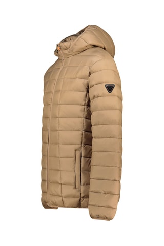 Blouson à capuche Aipteroral - Beige