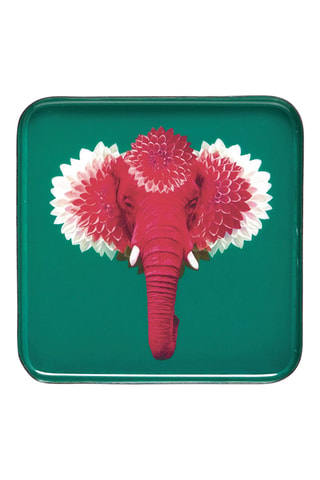 Vide poche Pachii - 15 x 15 cm - Vert