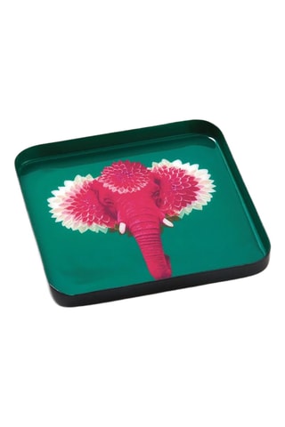 Vide poche Pachii - 15 x 15 cm - Vert